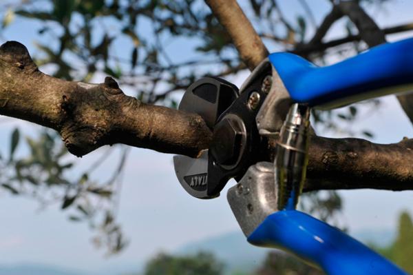 A2 - Double-cut pruning shears (size ML)