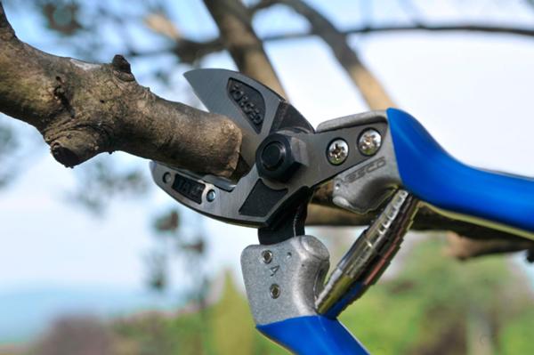 A4 - Anvil pruning shears (size ML)