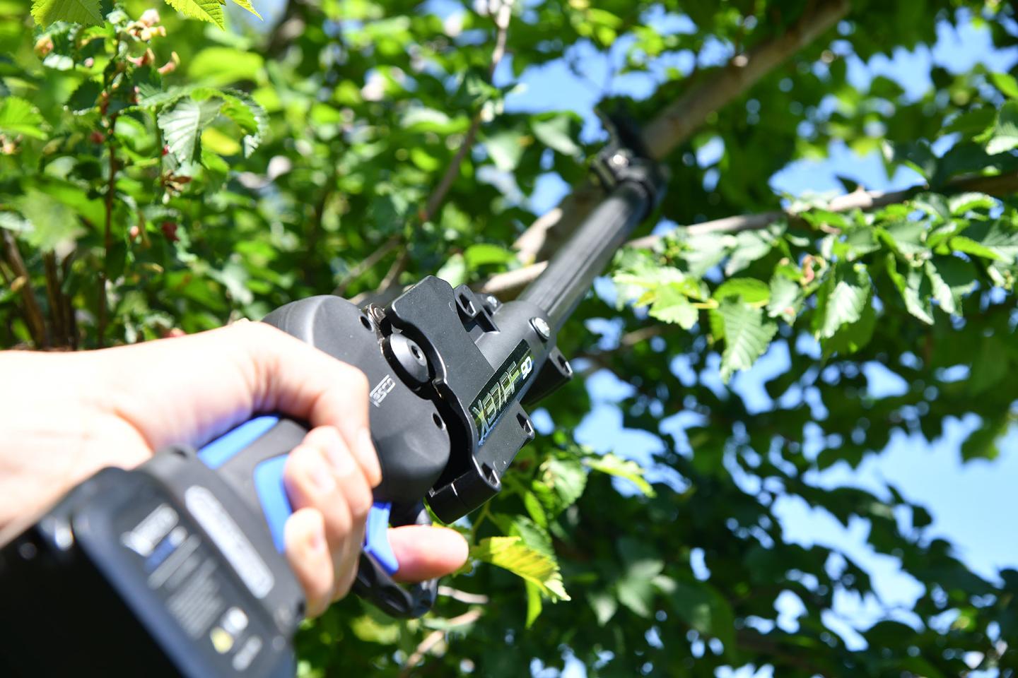 X37 AF - Cordless pole pruner 37mm