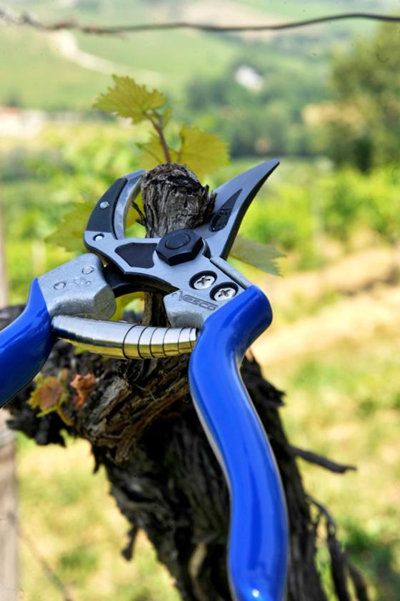 A6 - Curved anvil pruning shears with slicing cut