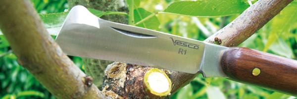 R1 - Coltello innesto tradizionale